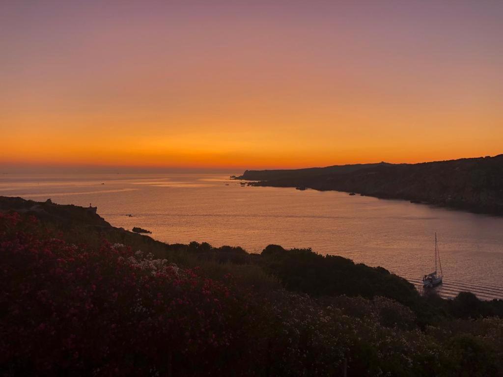 B&B Jolie Santa Teresa Gallura Eksteriør billede